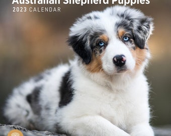 mini aussie stuffed animal