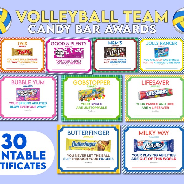 Funny Volleyball Awards Etsy