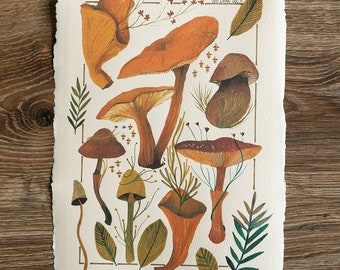 A4 / A3 Artistic Print: Mushrooms botanical print