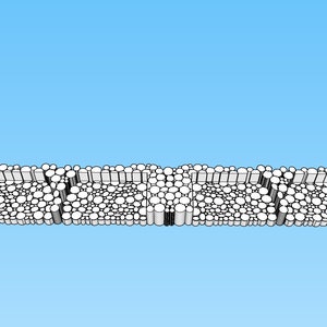 Centerbeam Log Load 2 Pack image 2