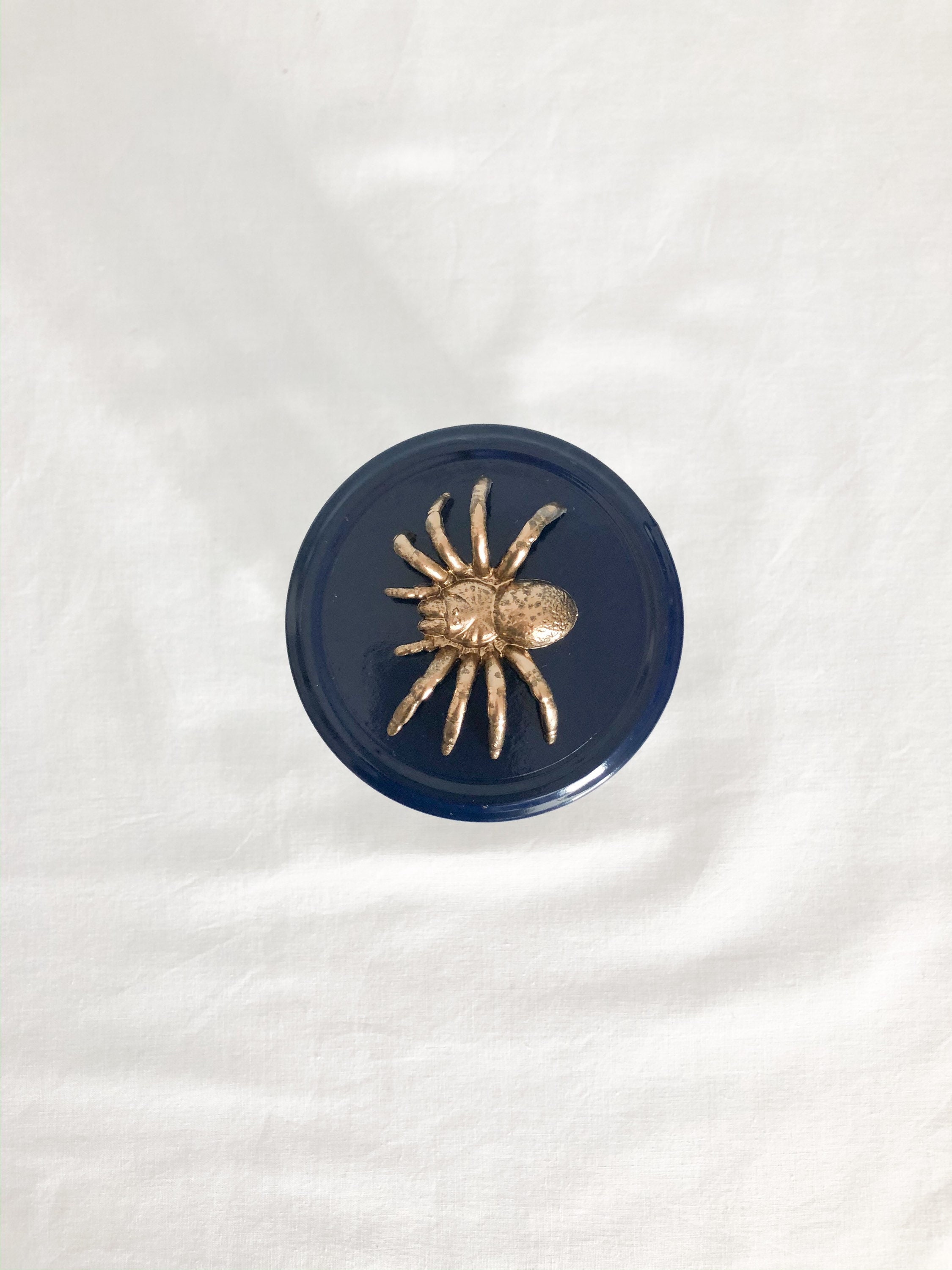 Petit Bocal Recyclé - Grosse Araignée