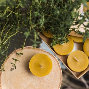 Pure Beeswax tea light candles in natural, red, green and black colors/handmade bees wax candles/Handmade natural tealight in paper box
