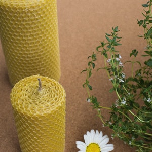 Pure Honeycomb Beeswax Candles. Handmade, handrolled. 100% beeswax image 2