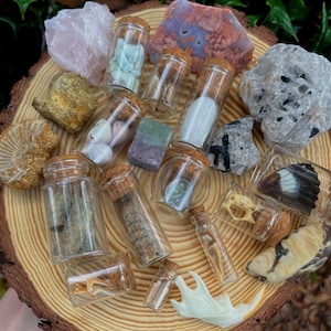 20 Item Natural History Curio Mystery Box