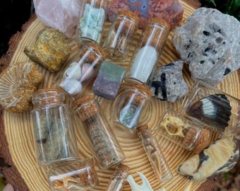 20 Item Natural History Curio Mystery Box