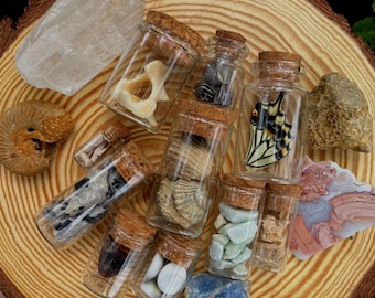 15 Item Natural History Curio Mystery Box
