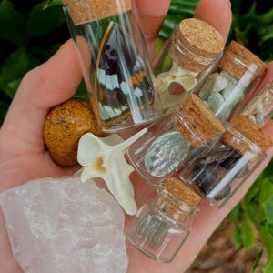 10 Item Natural History Curio Mystery Box