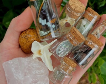 10 Item Natural History Curio Mystery Box