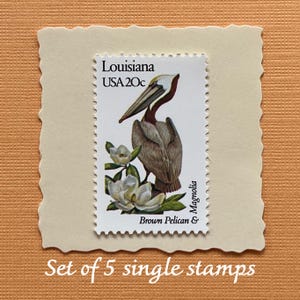 Gorgeous creamy flowers wedding postage stamps|Vintage 1982|Louisiana Brown Pelican+Magnolia|5 single beautiful 20c usable stamps|Ships FREE