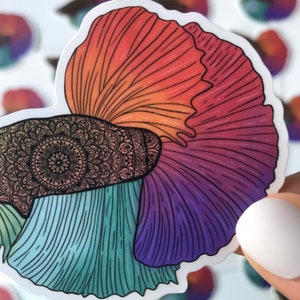 May include: A colorful sticker of a betta fish with a mandala pattern on its head. The fish is outlined in black and has a gradient of colors from red to purple.