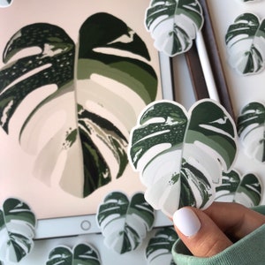 May include: A set of white and green monstera leaf stickers. The stickers are in the shape of a monstera leaf and have a white background with green veins and speckles.