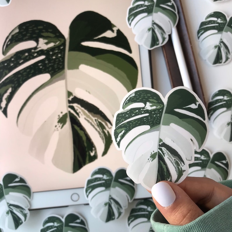 May include: A set of white and green monstera leaf stickers. The stickers are in the shape of a monstera leaf and have a white background with green veins and speckles.