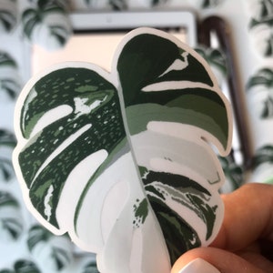 May include: A white and green monstera leaf sticker with a detailed, realistic design. The sticker is perfect for adding a touch of tropical flair to any surface.