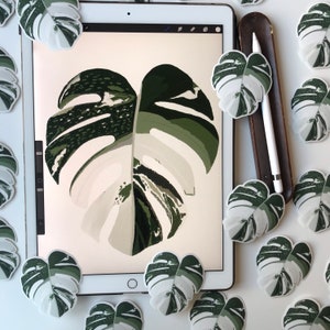 May include: A digital illustration of a large, white and green monstera leaf on a tablet screen surrounded by smaller, white and green monstera leaf stickers.