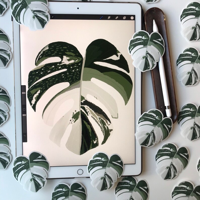 May include: A digital illustration of a large, white and green monstera leaf on a tablet screen surrounded by smaller, white and green monstera leaf stickers.