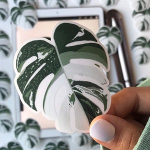 May include: A white sticker with a green and white monstera leaf design. The leaf is detailed with a textured pattern.
