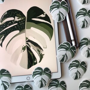 May include: A white background with a large green and white monstera leaf illustration. The image is surrounded by smaller green and white monstera leaf stickers.