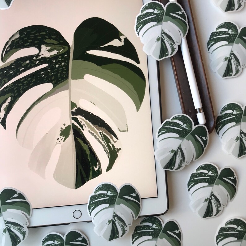 May include: A white background with a large green and white monstera leaf illustration. The image is surrounded by smaller green and white monstera leaf stickers.