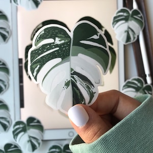May include: A white and green monstera leaf sticker with a detailed pattern. The sticker is being held by a hand.