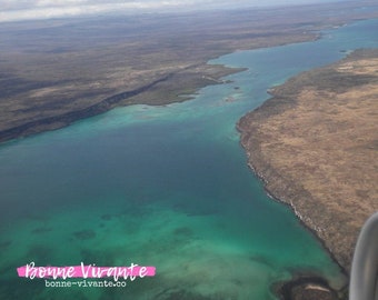 Galapagos Islands Photography, Flight Photography, Fine Art Photography, Wall Art, Travel Photography