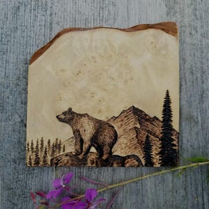Taza de camping Bear Mountain: Arte de Alaska, taza de café de metal esmaltado para mochileros, regalo para excursionistas imagen 2