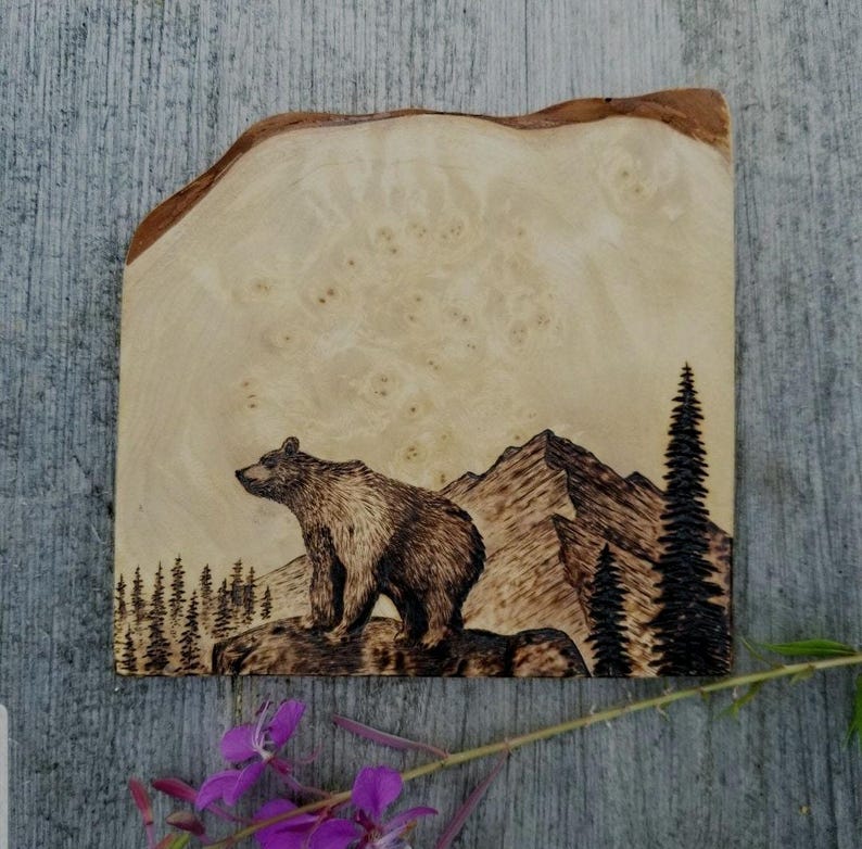 Taza de camping Bear Mountain: Arte de Alaska, taza de café de metal esmaltado para mochileros, regalo para excursionistas imagen 2