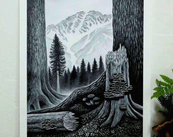 Alaska Wilderness Wall Art Print, Mountain Landscape with Forest Mushrooms Graphite Drawing