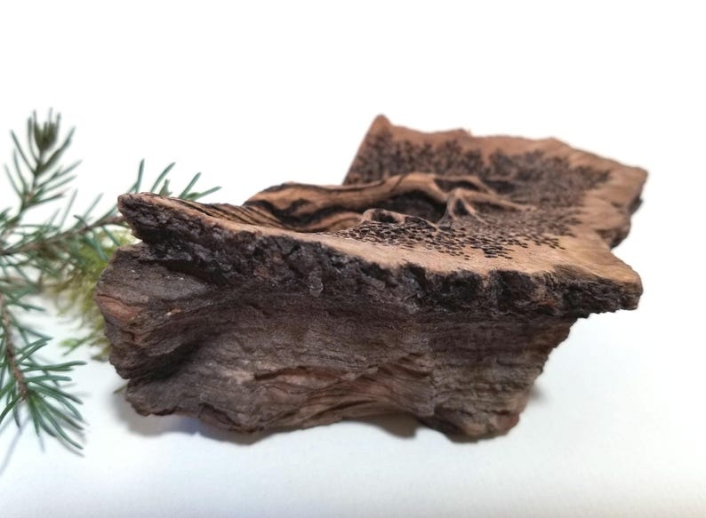 Willow Tree Rustic Hand Carved Miniature Wood Sculpture, Forest Wood