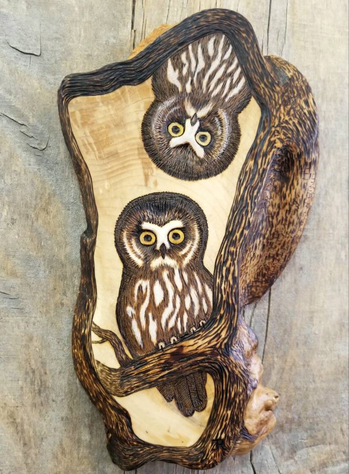 Carved Wood Owls Wall Sculpture Northern Sawhet Owl Original Etsy
