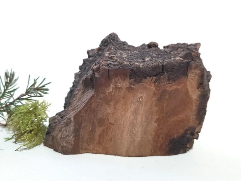 Willow Tree Rustic Hand Carved Miniature Wood Sculpture, Forest Wood