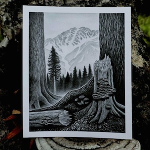 Alaska Mountain Forest Print, Wilderness Landscape, Nature Wall Art, Mushrooms & Moss Graphite Drawing