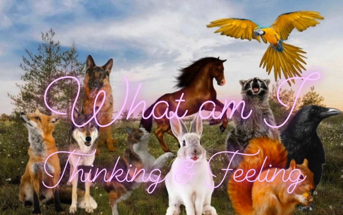 Pet / Animal Communication Reading Animal Psychic Intuitive - Etsy Ireland Pet / Animal Communication Reading Animal Psychic Intuitive - Etsy Ireland