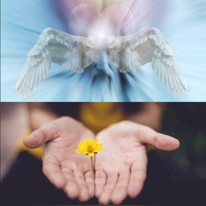 May include: Two open hands holding a single yellow flower with a green stem. The background is blurred and out of focus.