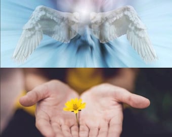 Leitura de mensagens ou perguntas do Guia Espiritual no mesmo dia