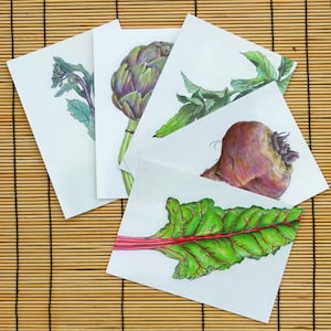 Greeting Card Pack - Spring Vegetables - 5 x A6 Cards, Blank Inside, for Gardeners, Vegetable Growers, Chefs, Cooks, Foodies, Plant Lovers