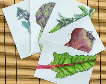 Greeting Card Pack - Spring Vegetables - 5 x A6 Cards, Blank Inside, for Gardeners, Vegetable Growers, Chefs, Cooks, Foodies, Plant Lovers