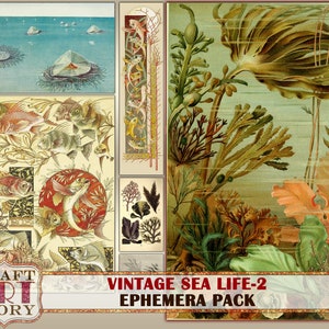 Vintage Sea Life Ephemera Pack-2,Under the Sea kit,Marine Art printable,sea journal