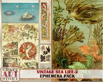 Vintage Sea Life Ephemera Pack-2,Under the Sea kit,Marine Art printable,sea journal