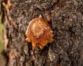 Shimmery Pinecone Pendant