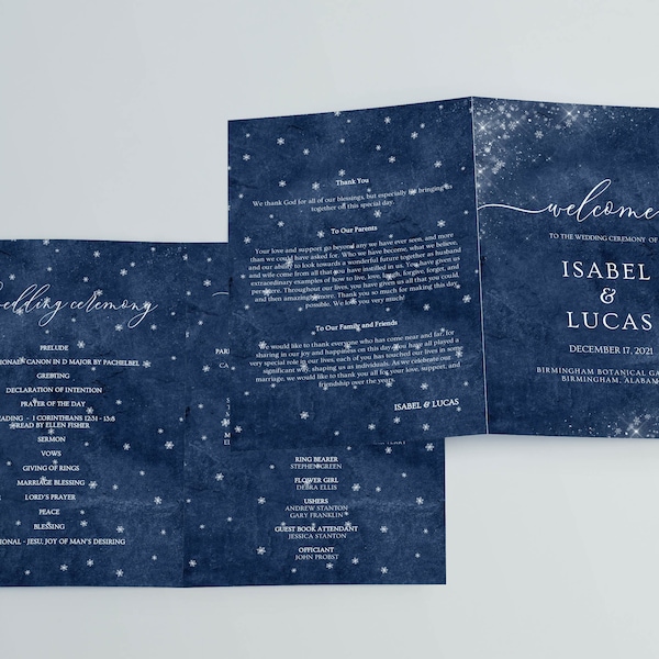 Winter Wedding Program Bifold, Program Template, Blue Wedding Program with Snowflake, Ceremony Program Template, Booklet Program, Editable