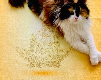 Sale. Limited edition, the last Sunpriseyoge "Sun Gold" premium quality yoga mat training meditation fitness