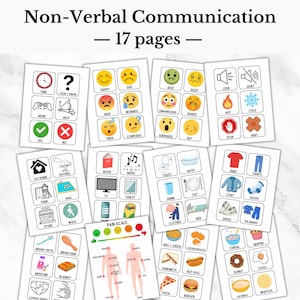 Non Verbal Communication Cards, Adult Visual Board Conversation Cards, Nonverbal Autism Flashcards, Therapy Emotion Card, PECS Mini Cards