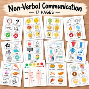 Non Verbal Communication Cards, Adult Visual Board Conversation Cards, Nonverbal Autism Flashcards, Therapy Emotion Card, PECS Mini Cards