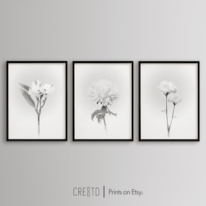 Black and White Floral Prints, Printable Wall Art, 3-Piece Art Set, Vintage Floral Print, Tryptic Wall Art, Flower Wall Art, Portrait Art