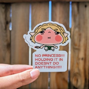 Puede incluir: Una pegatina blanca con una ilustración de dibujos animados de un personaje con cabello rubio, ropa verde y rostro rojo. El personaje sostiene un objeto pequeño en su mano. El texto en la pegatina dice "NO PRINCESS!!! HOLDING IT IN DOESNT DO ANYTHING!!!!"