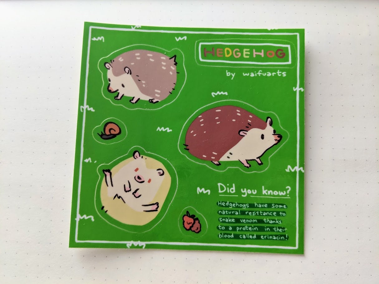 Reading Hedgehog Stickers Glossy