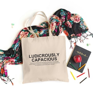 Succession Ludicrously Capacious Canvas Tote Bag, Gift for Friends, Gift for him, Gift for her