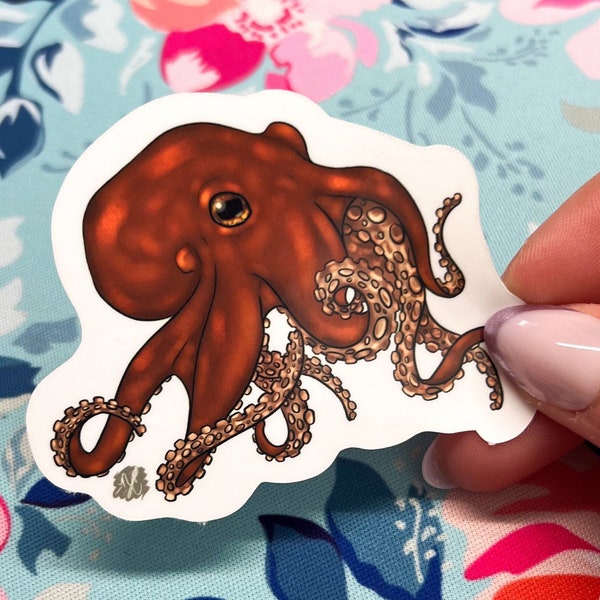 Octopus Sticker art, octopus stickers, octopus decal, octopus art, octopus drawing, octopus sticker, animal sticker by NateradeCreates