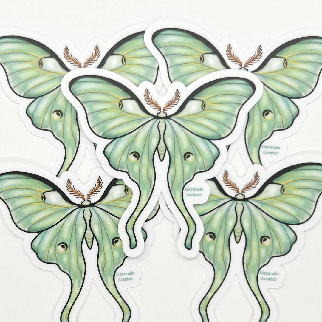 Luna Moth Sticker: Weatherproof Die-cut Moth Stickers - Etsy