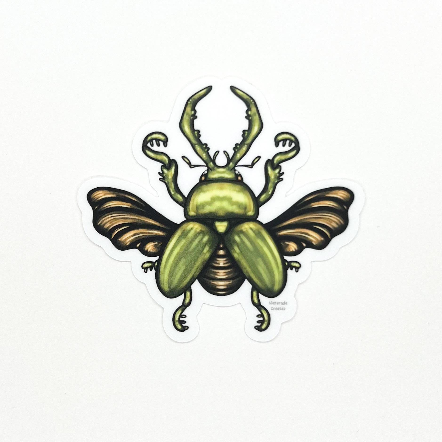 Beetle Sticker: Weatherproof Die-cut Beetles Bug Stickers - Etsy